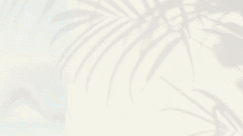 Fitness 3D GIF by RENPHO