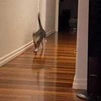 On My Way Running GIF