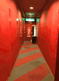 GIF by miranda