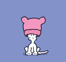 chippythedog pink women chippythedog pussy hat GIF