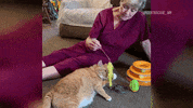 Football Cats GIF by Hallmark Channel