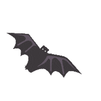 WAYSA bat rainforest guayusa waysa Sticker