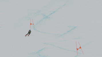 Team Usa Sport GIF by U.S. Ski & Snowboard Team