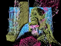 MFDtheArtist trippy crazy weird brain GIF