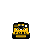 Photo Camera Sticker by PORC A PORTER