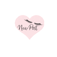 shoptayloredlashes shoptayloredlashes taylor anne tayloredlashes tayloranne Sticker
