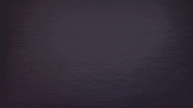 conwycbc conwy council conwy county borough council GIF