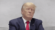 Donald Trump GIF by GIPHY News