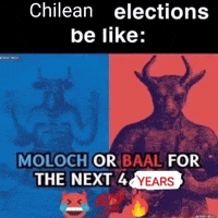 Chile Elections GIF