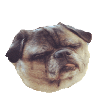 faded STICKER by imoji