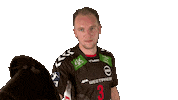 Handball-Bundesliga Handball Sticker by LIQUI MOLY HBL