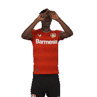 Video Werkself Sticker by Bayer 04 Leverkusen