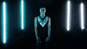Australian Rules Football Celebration GIF by Port Adelaide FC
