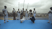 formula 1 dance GIF by Red Bull Racing