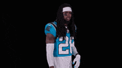 National Football League What GIF by Carolina Panthers