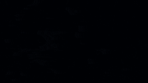 GIF by Plasma Republic