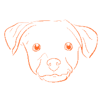 Serendipit Consulting GIF by Serendipit