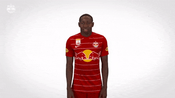 Red Bull Celebration GIF by FC Red Bull Salzburg