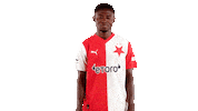 Football Soccer Sticker by SK Slavia Praha