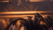 Slow Motion Loop GIF by Xbox