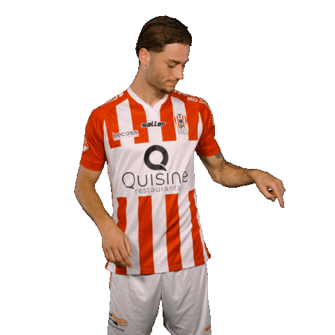 Link Van Sticker by TOP Oss