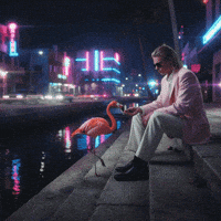 Eat Miami Vice GIF by Jukebox Saints