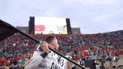 University Of Cincinnati Victory GIF by Cincinnati Bearcats