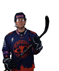 Sport Hokej Sticker by HCSTADION