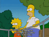 homer simpson GIF