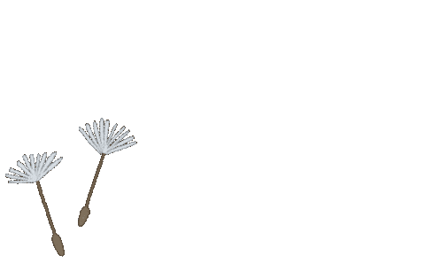 Fly Wind Sticker by Сойкин след