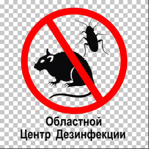 klimovsk-dez giphyupload дезинфекция дезинсекция дератизация крыса мышь pestcontrol GIF