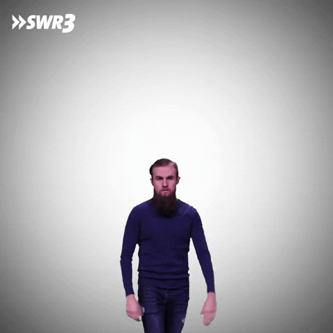 The End No GIF by SWR3
