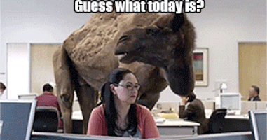 humpday GIF