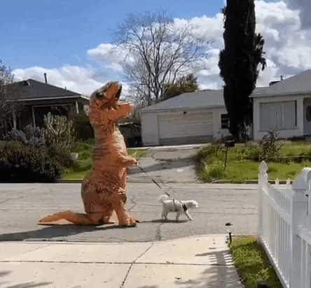 GIF by Century 21 Lois Lauer