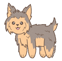 sunbunnie yorkie yorkshireterrier cute yorkie hayleedesigns Sticker