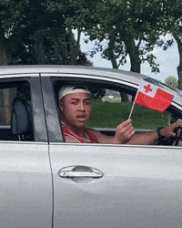 New Zealand Nz GIF