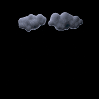 digitalstormwater stormwater digital stormwater ty garmon maryella begley GIF