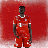 Football Smile GIF by FC Bayern Munich