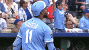 Lets Go Baseball GIF by Kansas City Royals