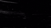 deckoficial deck pitty matriz deckdisc GIF