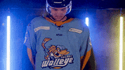 Hockey Echl GIF by Toledo Walleye