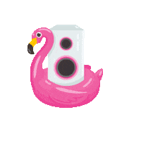 Happy Pool Party Sticker by Chochołowskie Termy