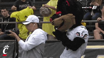 mocking cincinnati bearcats GIF by University of Cincinnati Athletics
