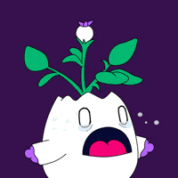 No Way What GIF by Magic Eden