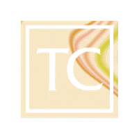 T-Force Team Sticker by TEAMGROUP