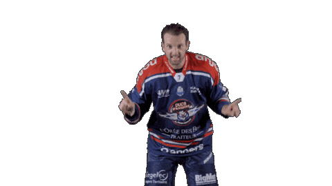 Ducs Dangers Hockey Sticker by Les Ducs d'Angers