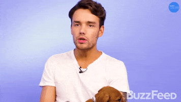 Liam Payne Puppies GIF by BuzzFeed
