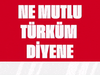 Turkey GIF by Socinflu