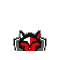 Paralímpico Sticker by Sesi São Paulo