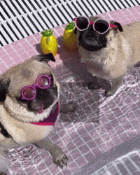 Summer Enjoy GIF